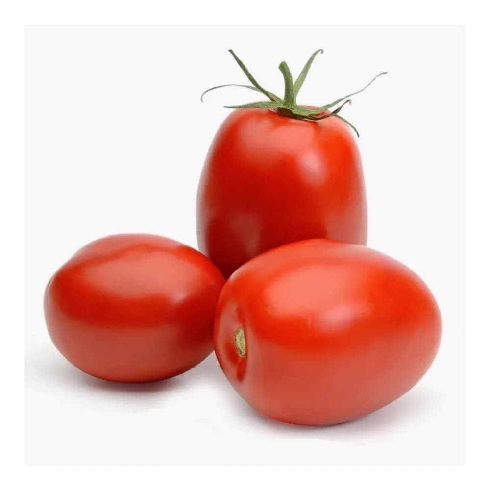 Tomate italiano kg