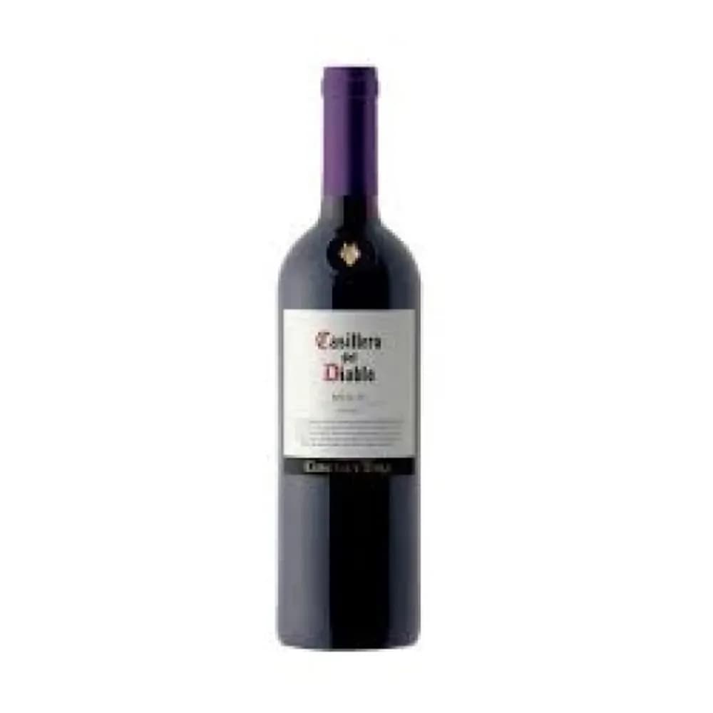 Vinho tinto merlot casillero del diablo concha y toro 750ml