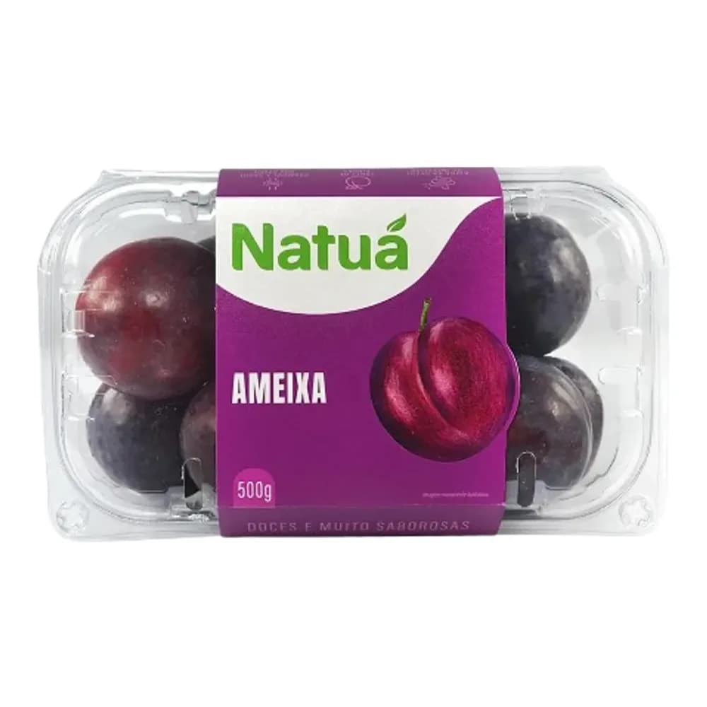 Ameixa silvestrin 500g