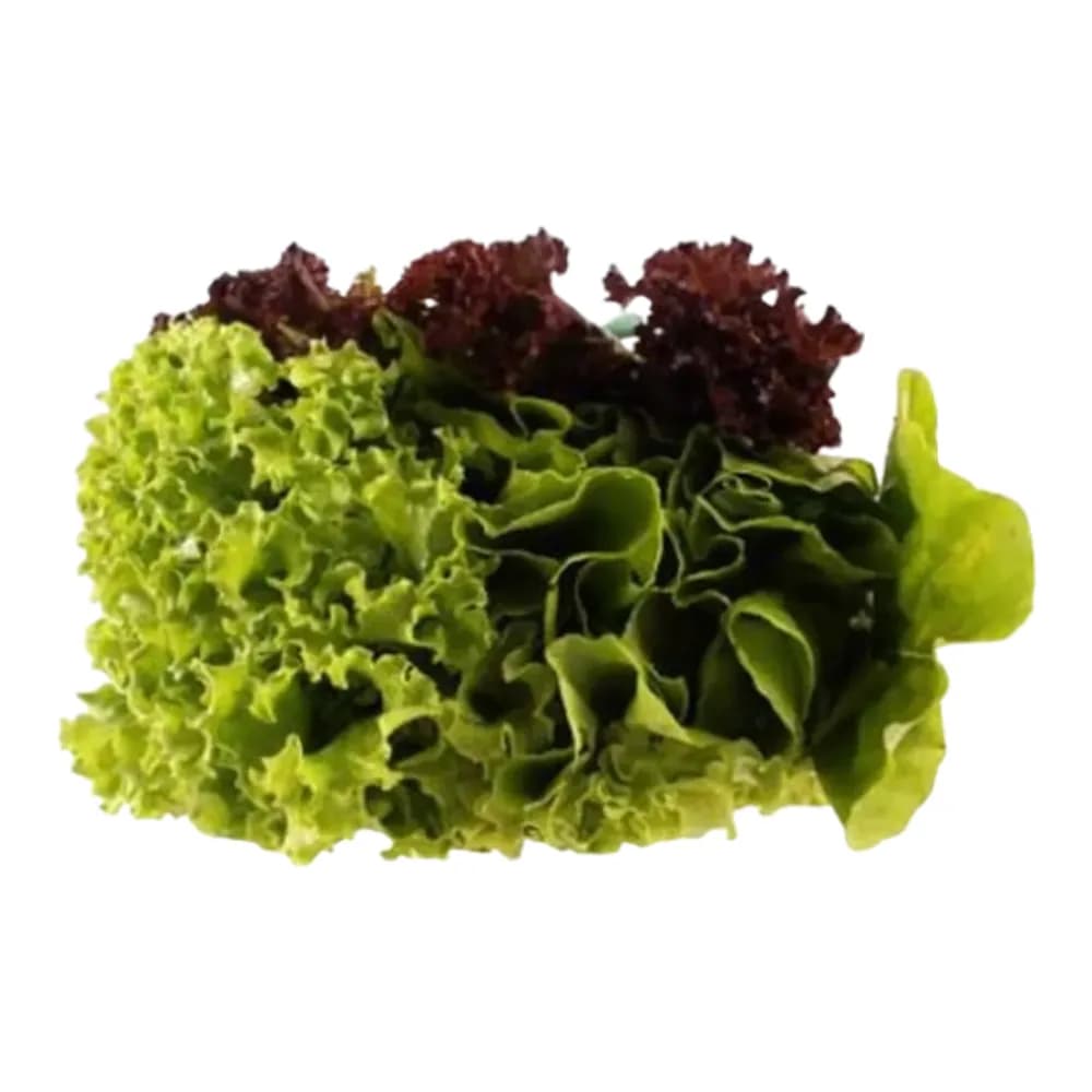 Mix salada sabor do campo 250g