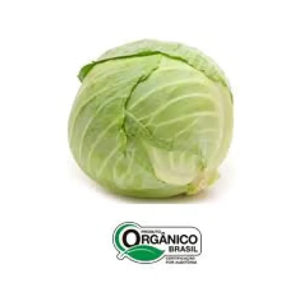 Repolho verde organicos do sul 250g