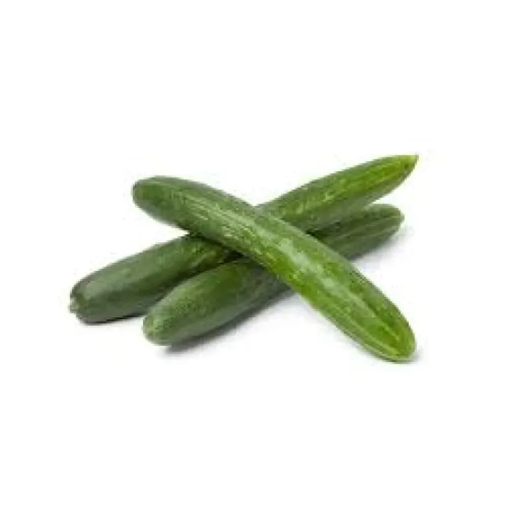 Pepino chacara s.do campo japones 450g